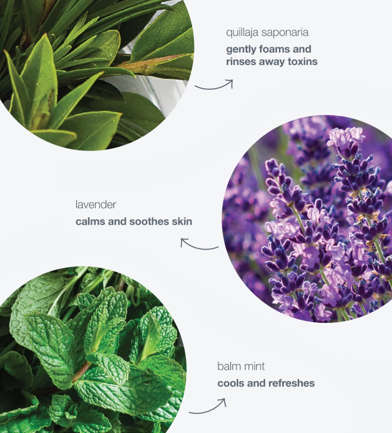 ספשל קלינסינג ג'ל *