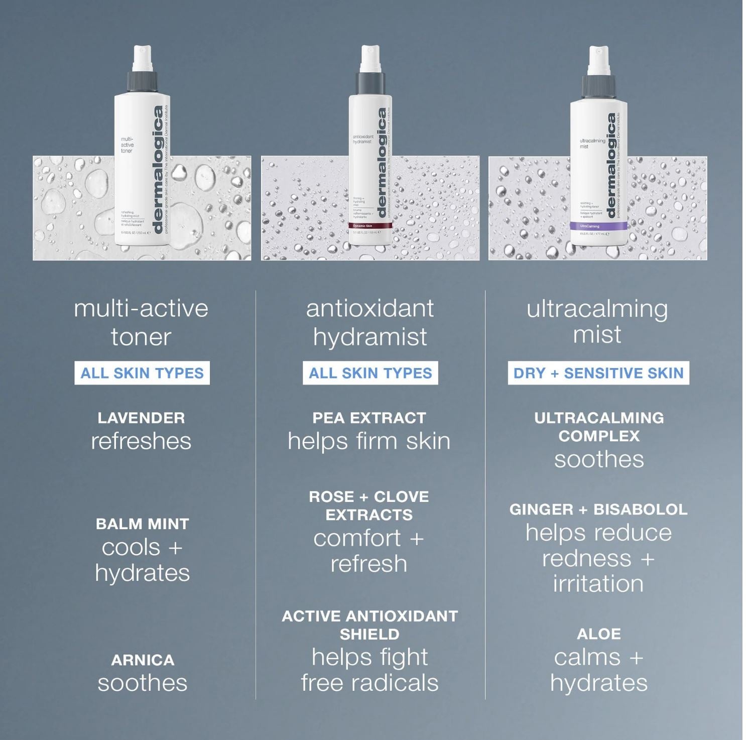 אנטיאוקסידנט הידרמיסט